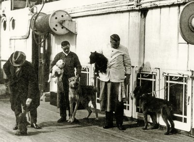 Honden verzorgd door bemanningsleden van de Titanic, 1912 door English Photographer